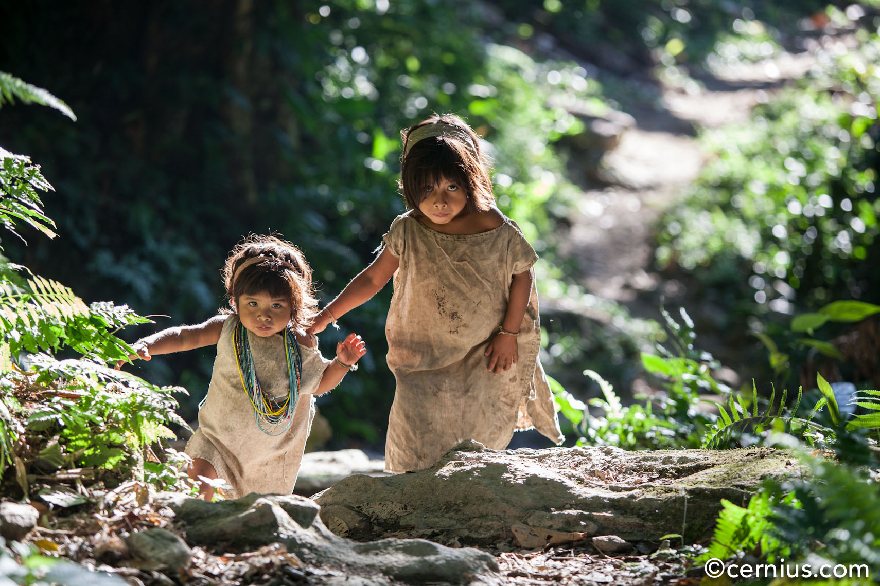 Indigenous children walk a path near the Ciduad Perdida (the Lost City) of Colombia, 2012 | Juozas Cernius