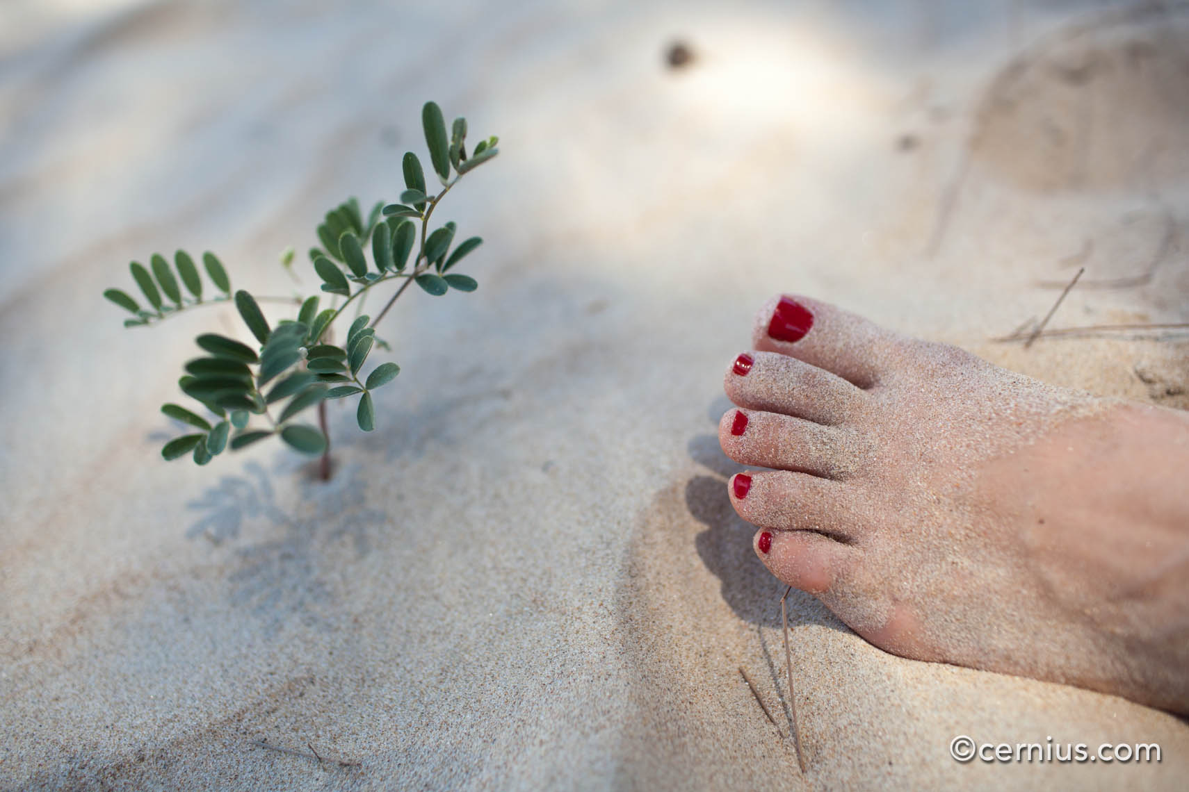 Beach Foot Fetish | Juozas Cernius
