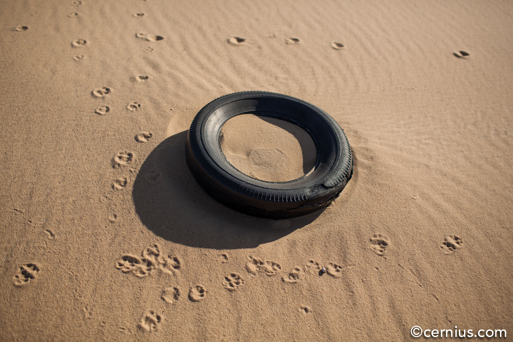 Sahara Desert Stillness, Egypt | Juozas Cernius