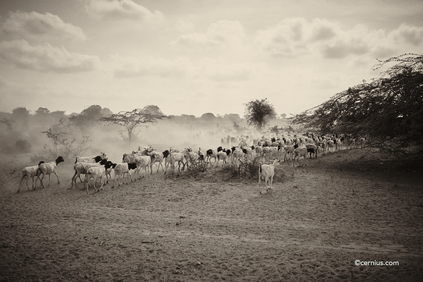 Climate Change in Kenya | Juozas Cernius