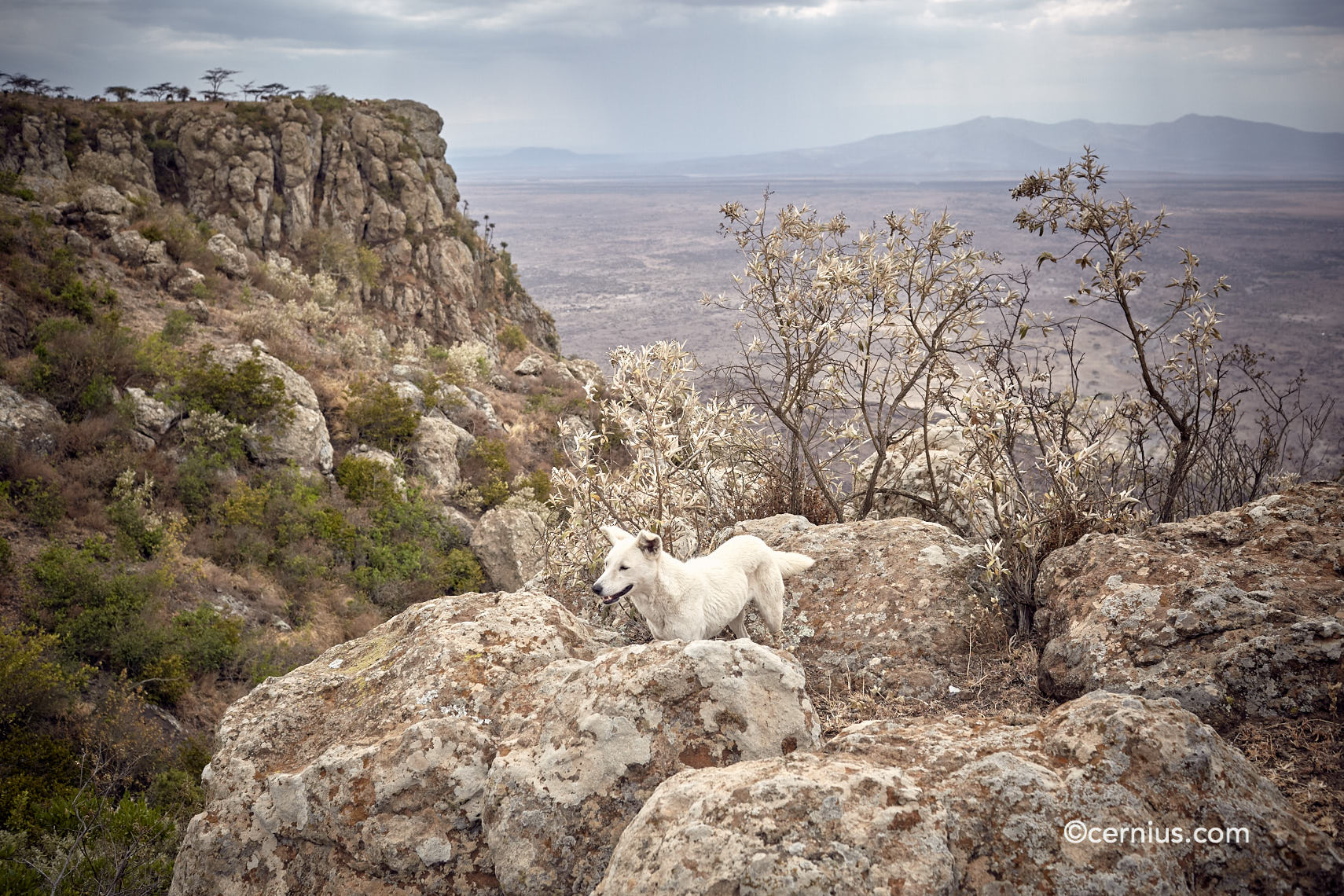 Travel to Champagne Ridge, Kenya | Juozas Cernius