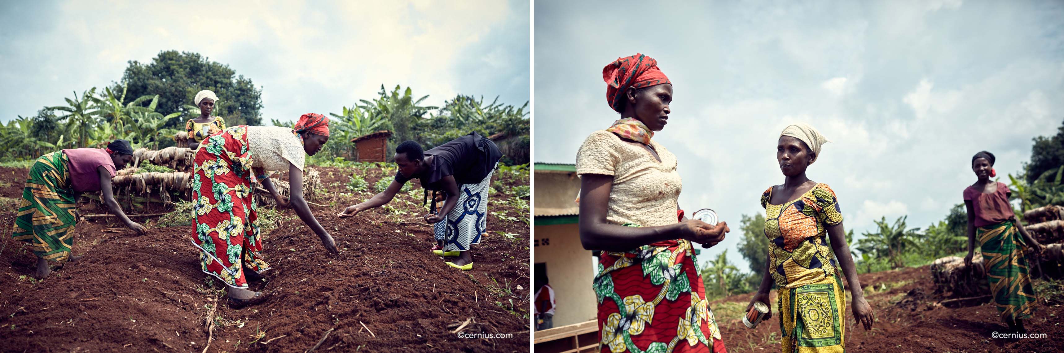 Rwandan Agriculture | Juozas Cernius